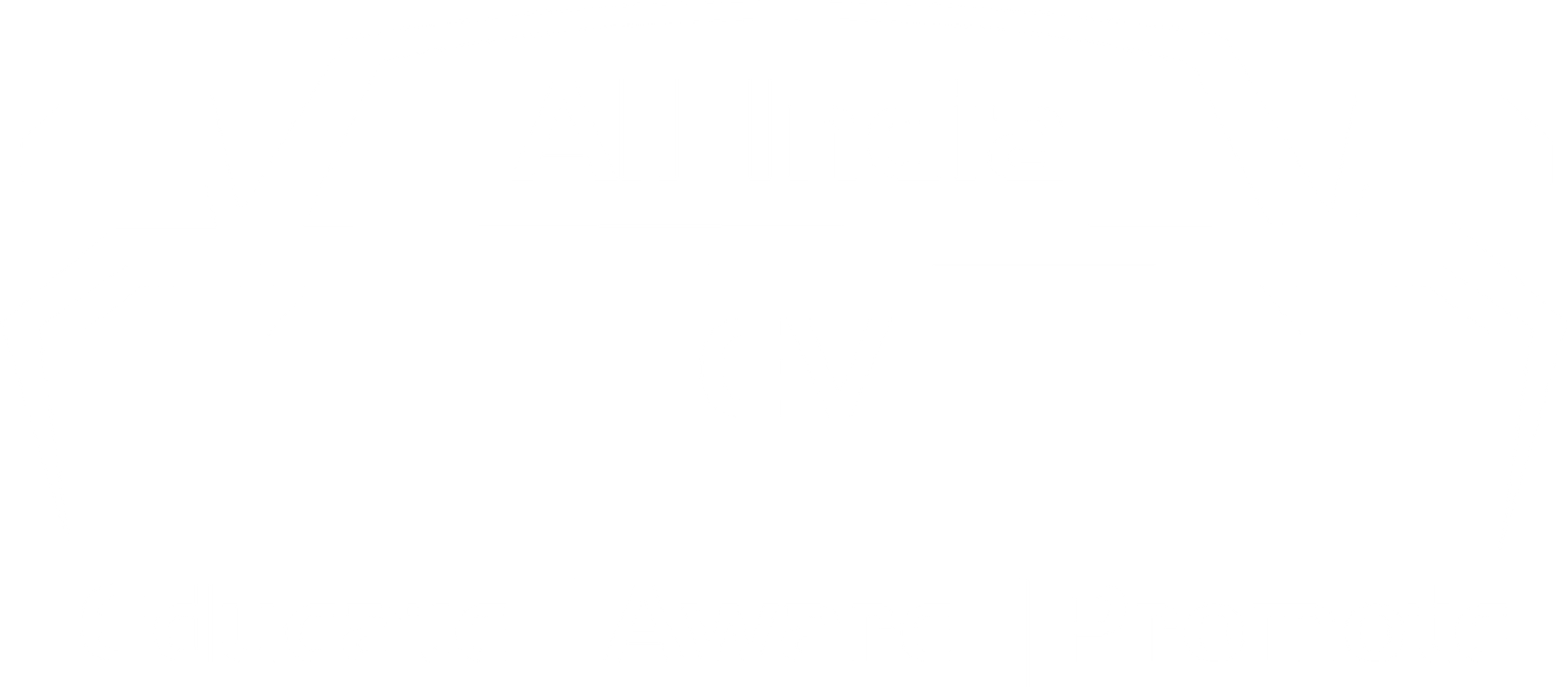 All India EV